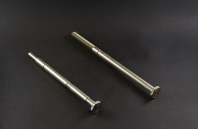 Viti perni in acciaio inox